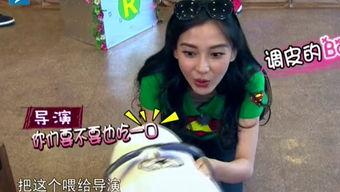 娱乐吃瓜酱笑声在线观看