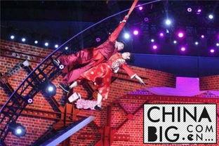 刘亮白鸽个人资料简介,白鸽之翼，艺术与人生的飞翔者